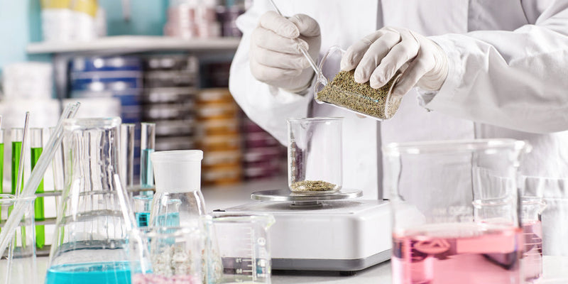 Product Science: Collagen, Peptides, Light & Recovery Protocols