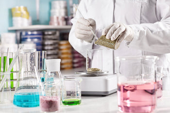 Product Science: Collagen, Peptides, Light & Recovery Protocols
